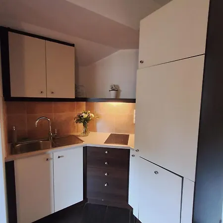 公寓 Apartamenty Borkowo Borkowo (Kartuzy)