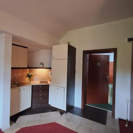 Apartamenty Borkowo *