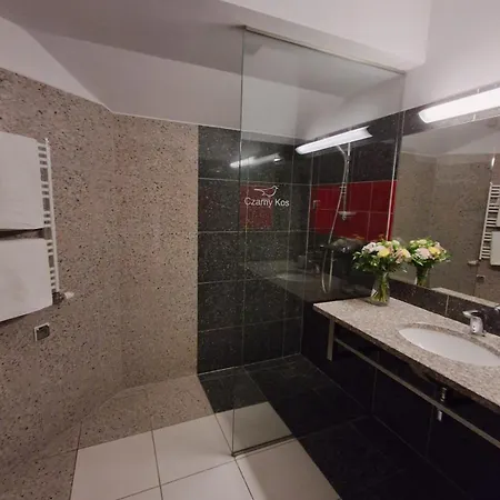 Apartamenty Borkowo * Borkowo (Kartuzy)
