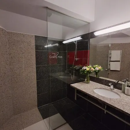 Apartamenty Borkowo شقة *