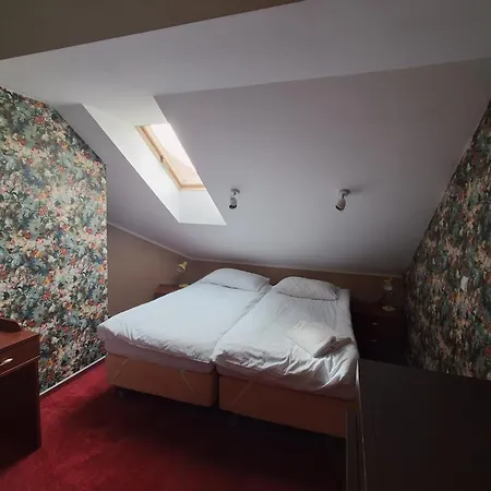 公寓 Apartamenty Borkowo